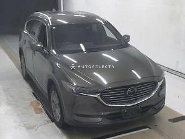 Mazda CX-8 2019, auction grade 4