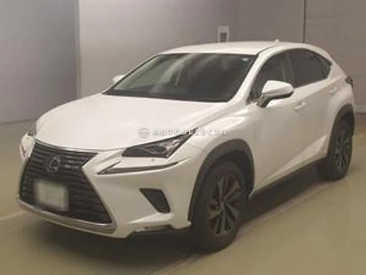 Lexus NX 2020, photo 1 of 1
