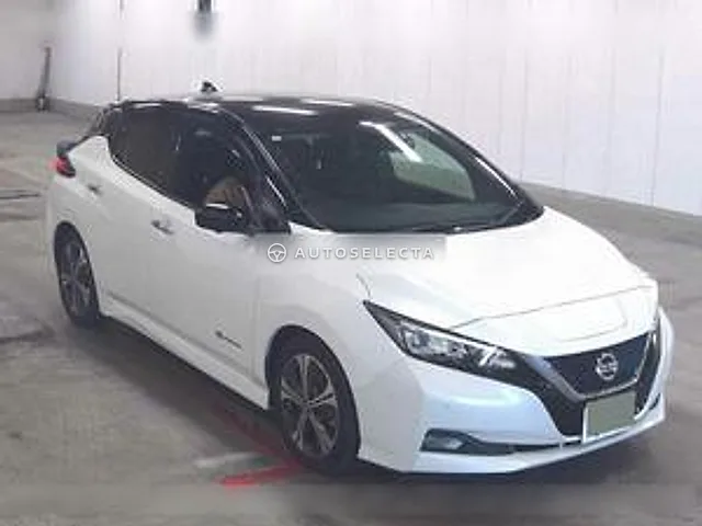 Nissan Leaf 2020, auction grade R