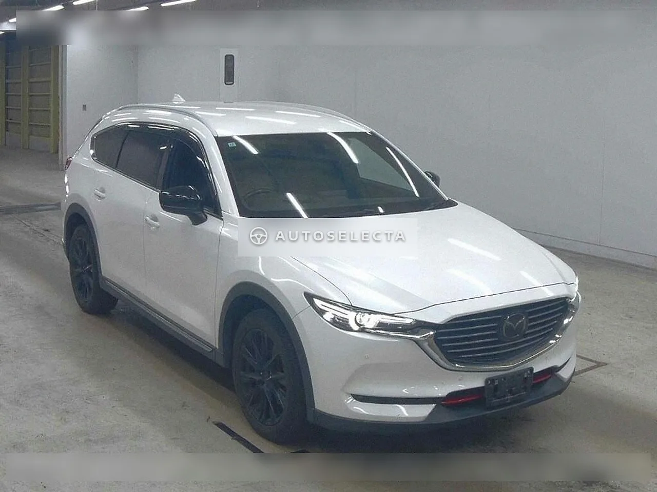 Mazda CX-8 2017, photo 1 of 1