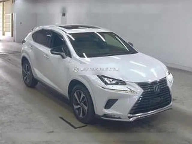 Lexus NX 2020, auction grade 3