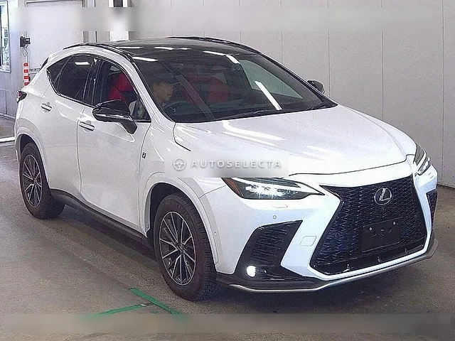 Lexus NX 2023, auction grade 5