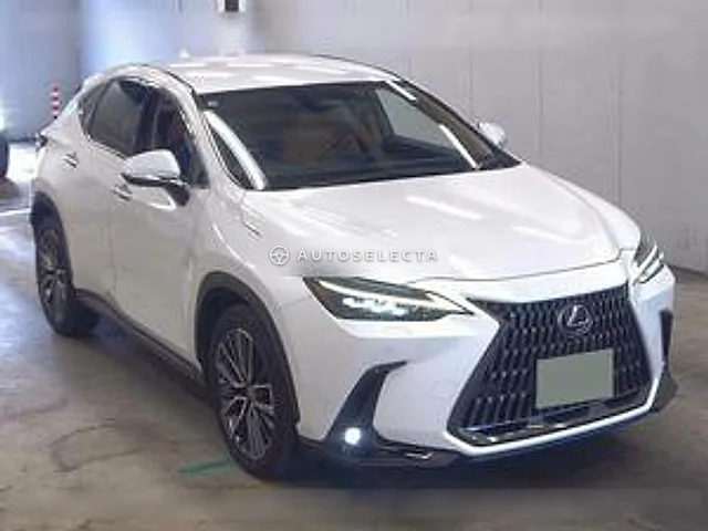 Lexus NX 2023, auction grade 4.5