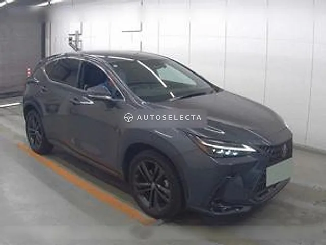 Lexus NX 2023, auction grade 4.5