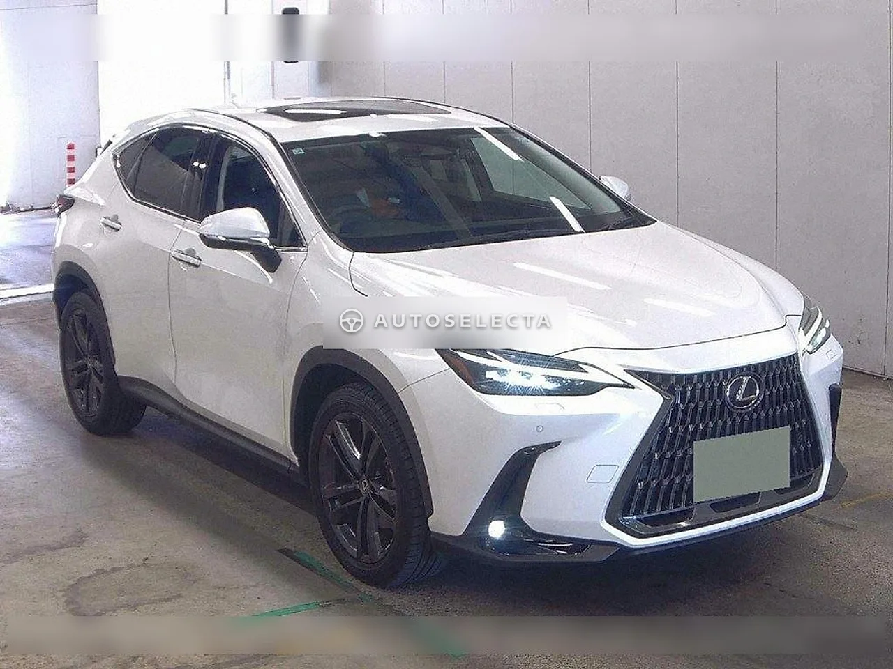 Lexus NX 2023, photo 1 of 1