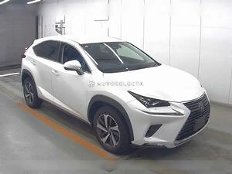 Lexus NX 2019, photo 1 of 1