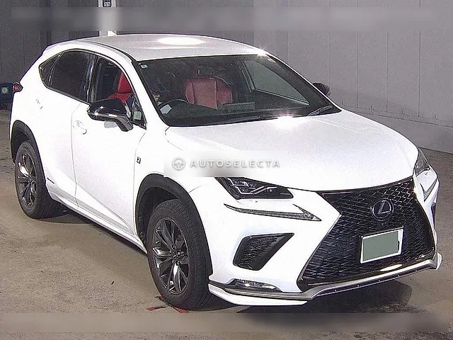 Lexus NX 2020, auction grade 4.5