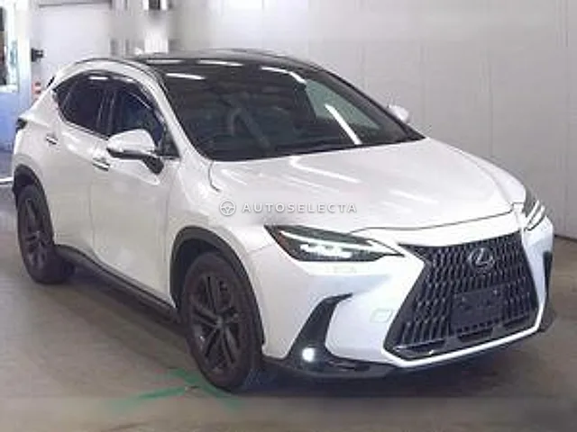 Lexus NX 2021, auction grade 4.5