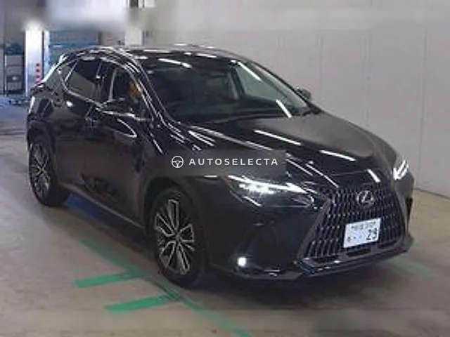 Lexus NX 2023, auction grade 5