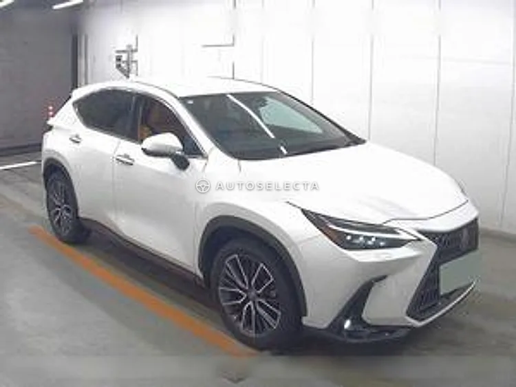 Lexus NX 2023, photo 1 of 1