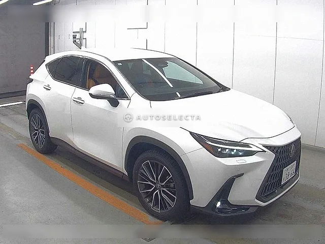 Lexus NX 2023, auction grade 4.5