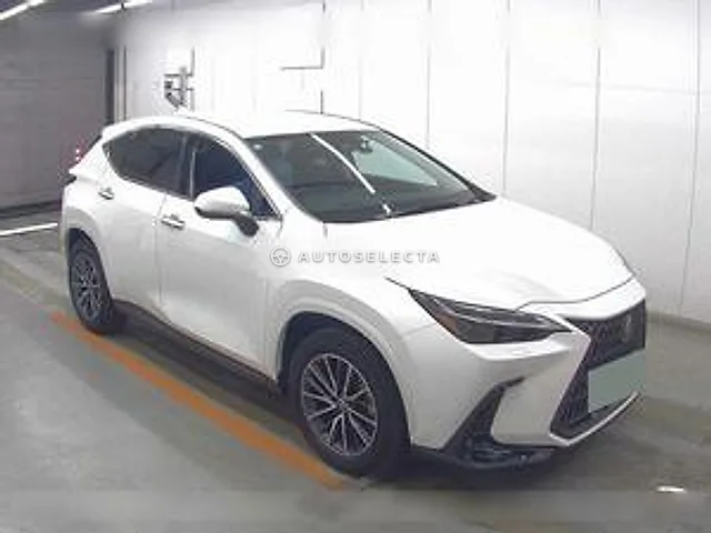 Lexus NX 2024, auction grade 5