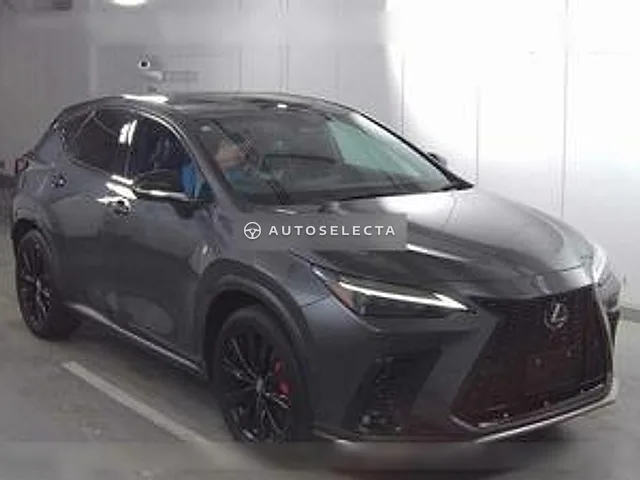 Lexus NX 2023, auction grade 5