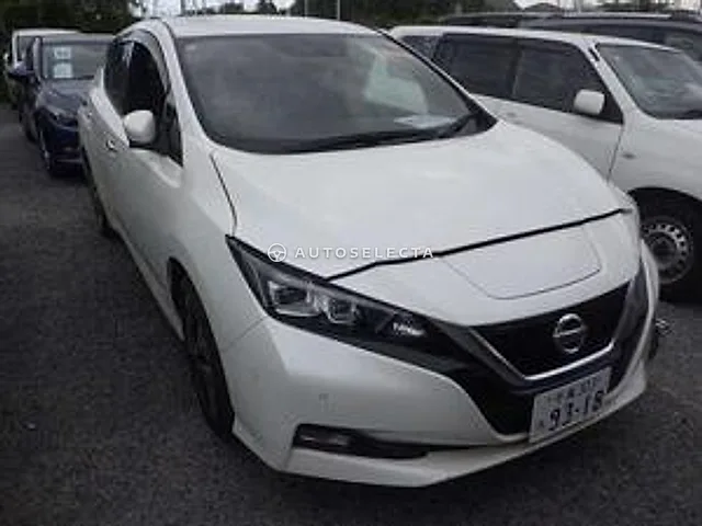 Nissan Leaf 2018