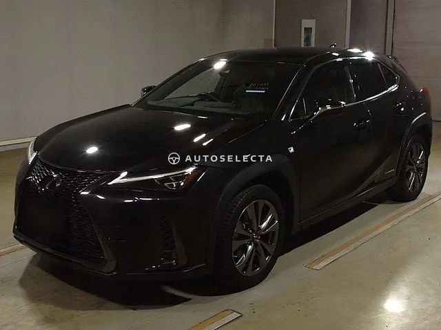 Lexus UX 2019, auction grade 4.5