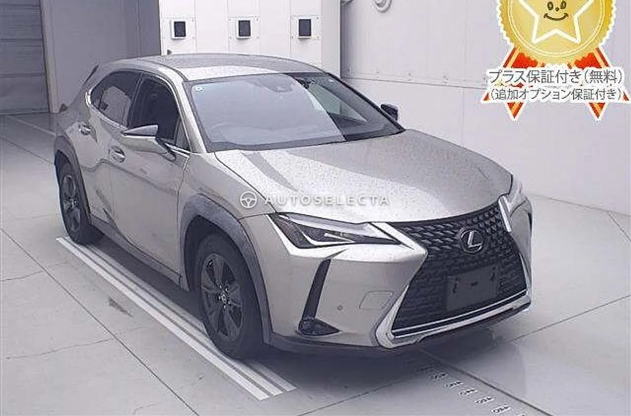 Lexus UX 2019, photo 1 of 11