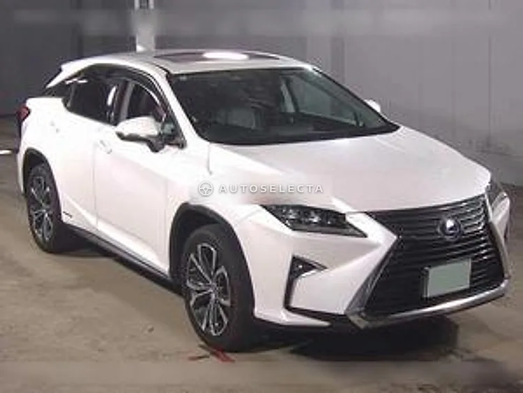 Lexus RX 2018, photo 1 of 1