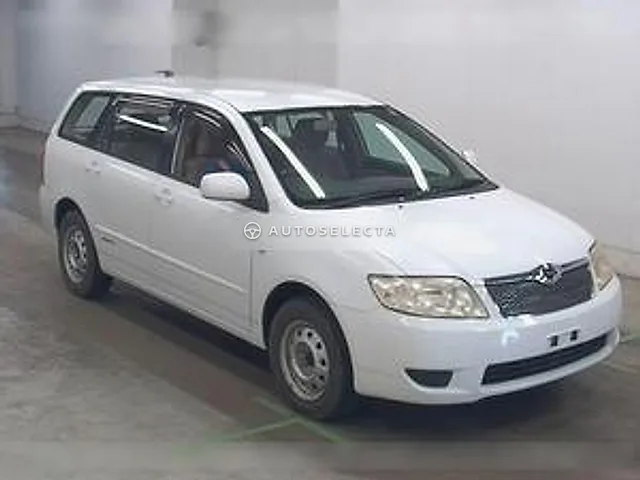 Toyota Corolla Fielder 2004, auction grade 3.5