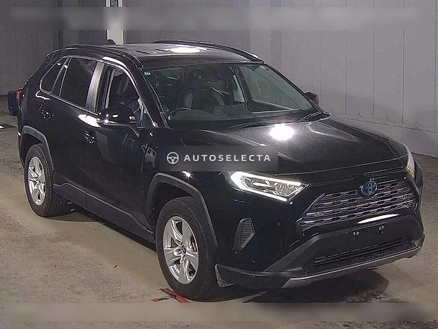 Toyota RAV4 2019, auction grade R