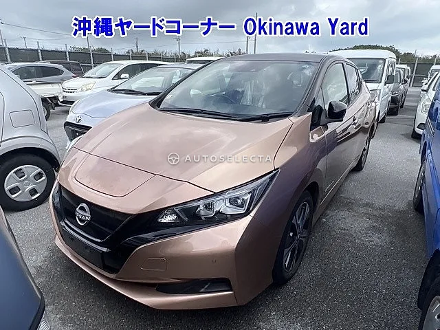 Nissan Leaf 2021, auction grade 4.5