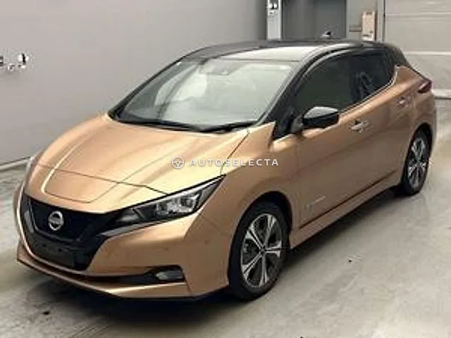 Nissan Leaf 2021, auction grade 4