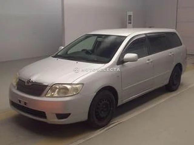Toyota Corolla Fielder 2005, auction grade RA