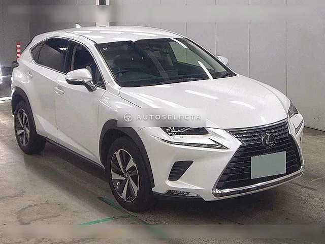 Lexus NX 2018, auction grade 4.5