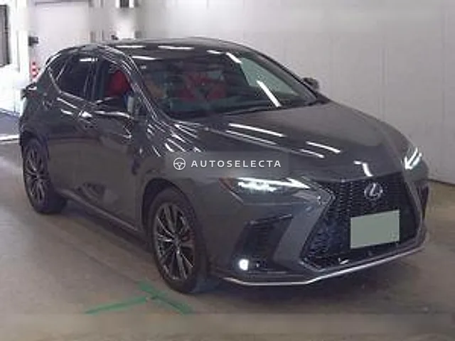 Lexus NX 2023, auction grade 4.5