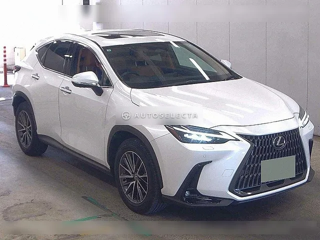 Lexus NX 2023, auction grade 4.5