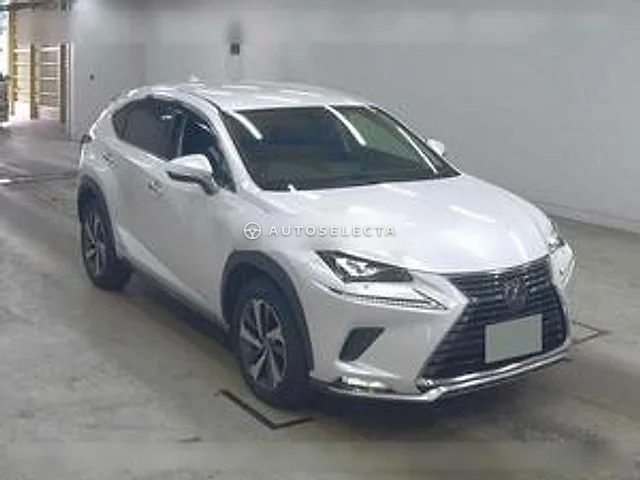 Lexus NX 2020, auction grade 4.5