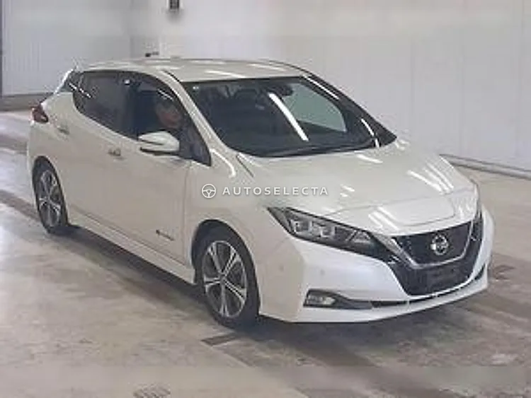 Nissan Leaf 2019, photo 1 of 1