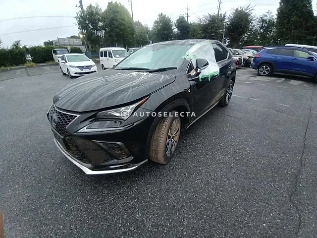 Lexus NX 2020