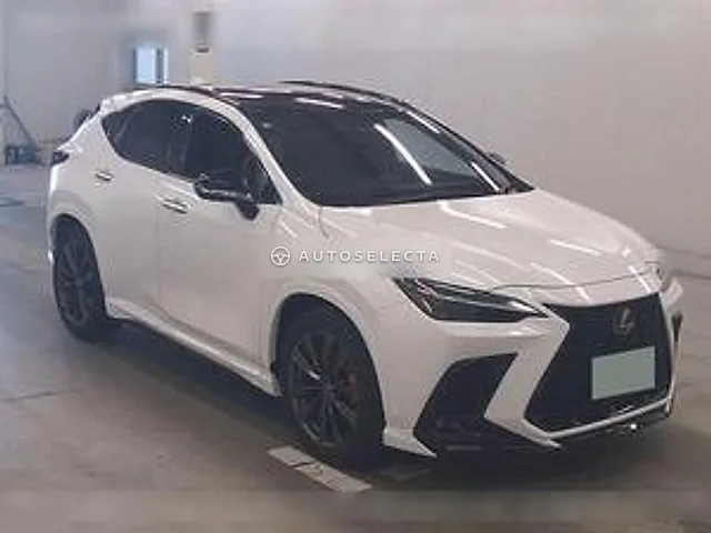 Lexus NX 2023, auction grade 5