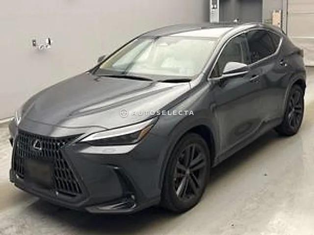 Lexus NX 2023, auction grade 4