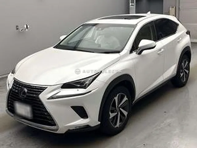 Lexus NX 2018, auction grade 4