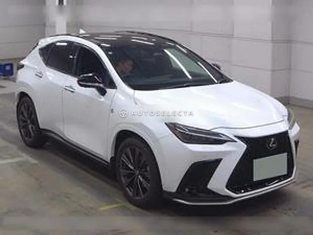 Lexus NX 2023, auction grade 4.5