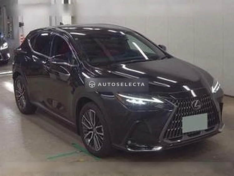 Lexus NX 2022, photo 1 of 1