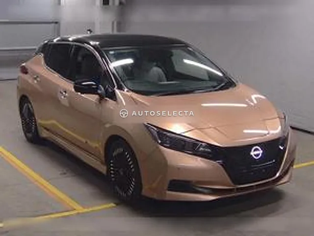 Nissan Leaf 2022, auction grade 4.5