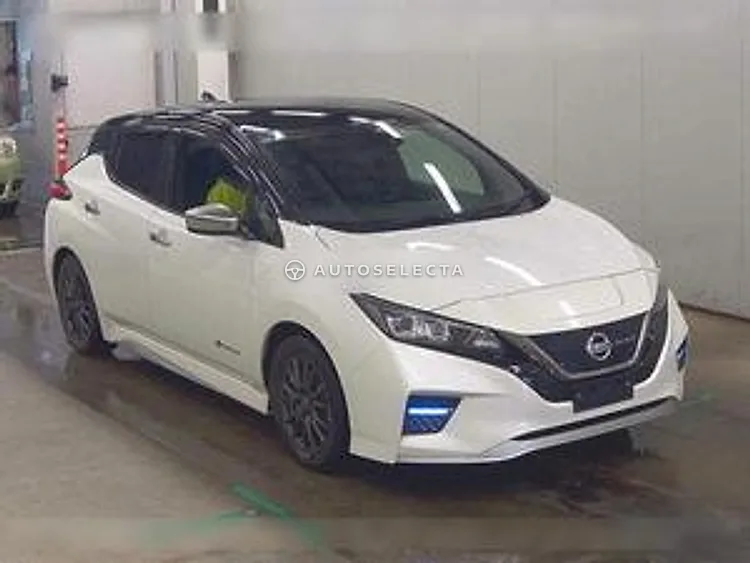 Nissan Leaf 2019, photo 1 of 1