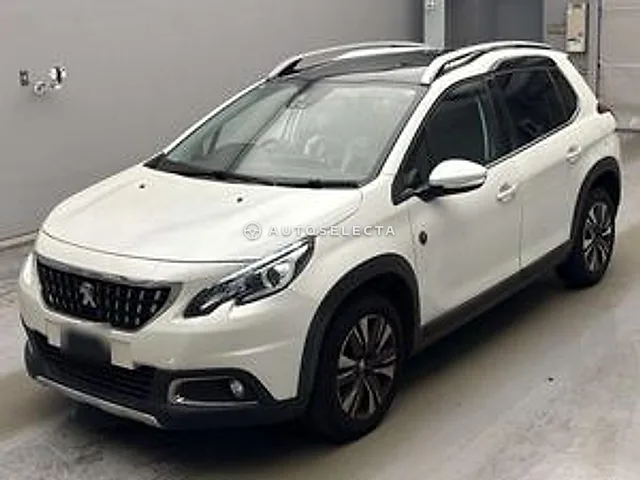 Peugeot 2008 2020, auction grade 4.5