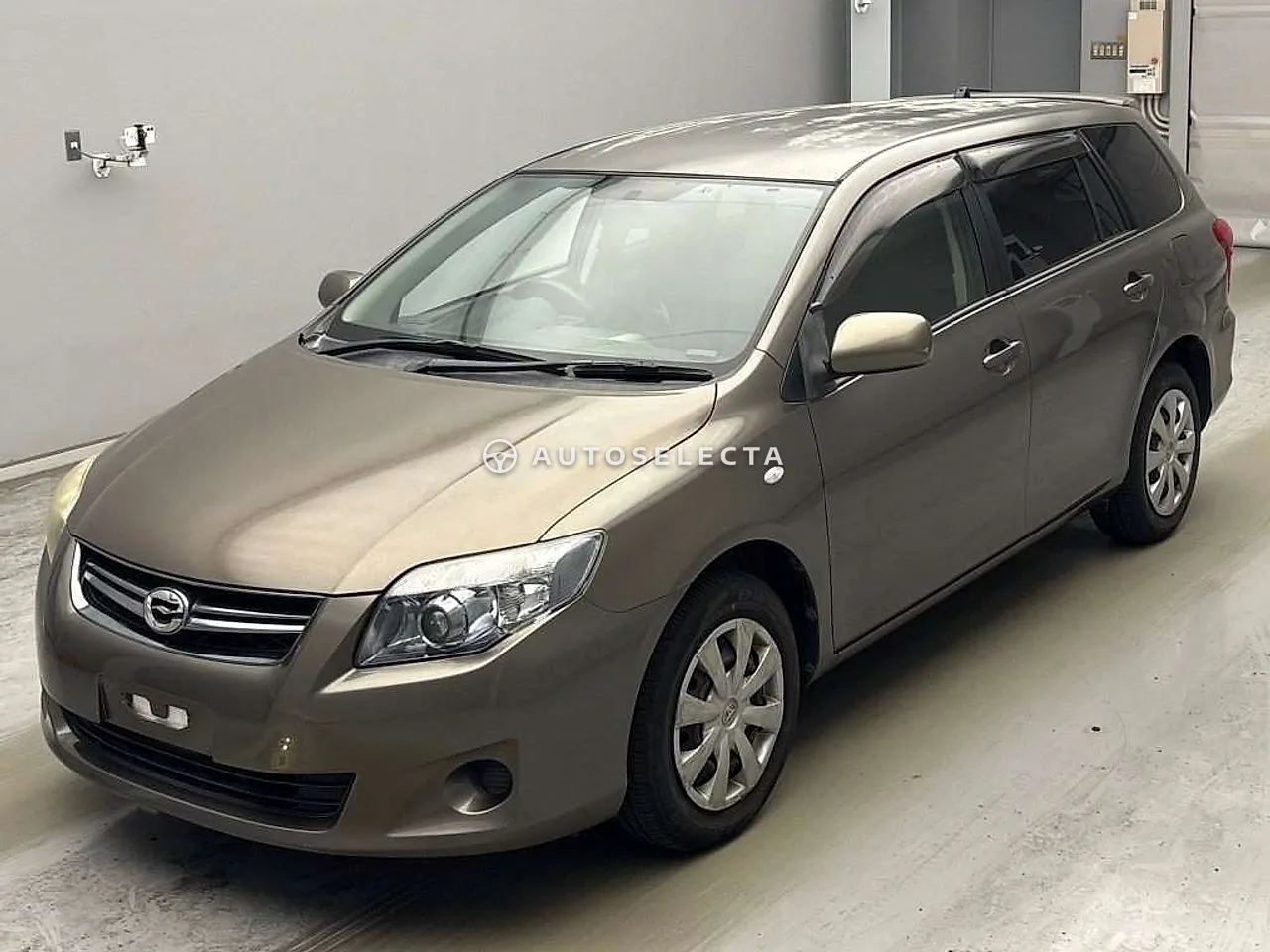 Toyota Corolla Fielder 2010, photo 1 of 1