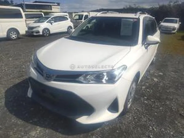 Toyota Corolla Fielder 2019, auction grade 3.5
