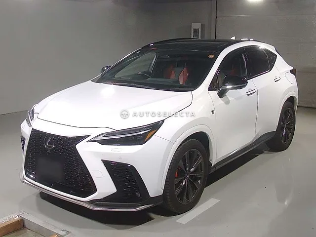 Lexus NX 2023, auction grade 4.5