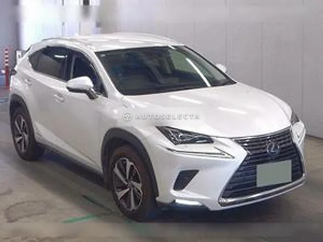 Lexus NX 2020, auction grade 4.5