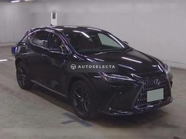 Lexus NX 2023, auction grade 5