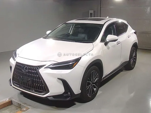 Lexus NX 2023, auction grade 5