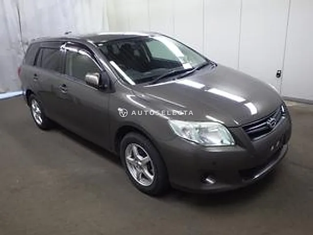 Toyota Corolla Fielder 2009, auction grade 4