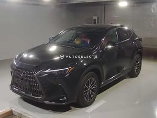 Lexus NX 2023, auction grade 4.5