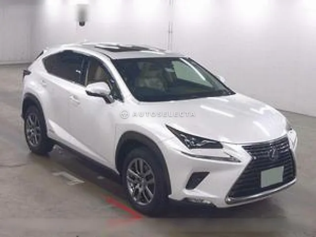 Lexus NX 2018, auction grade 4.5