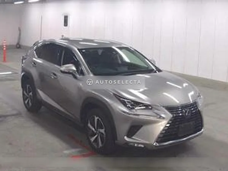 Lexus NX 2019, photo 1 of 1